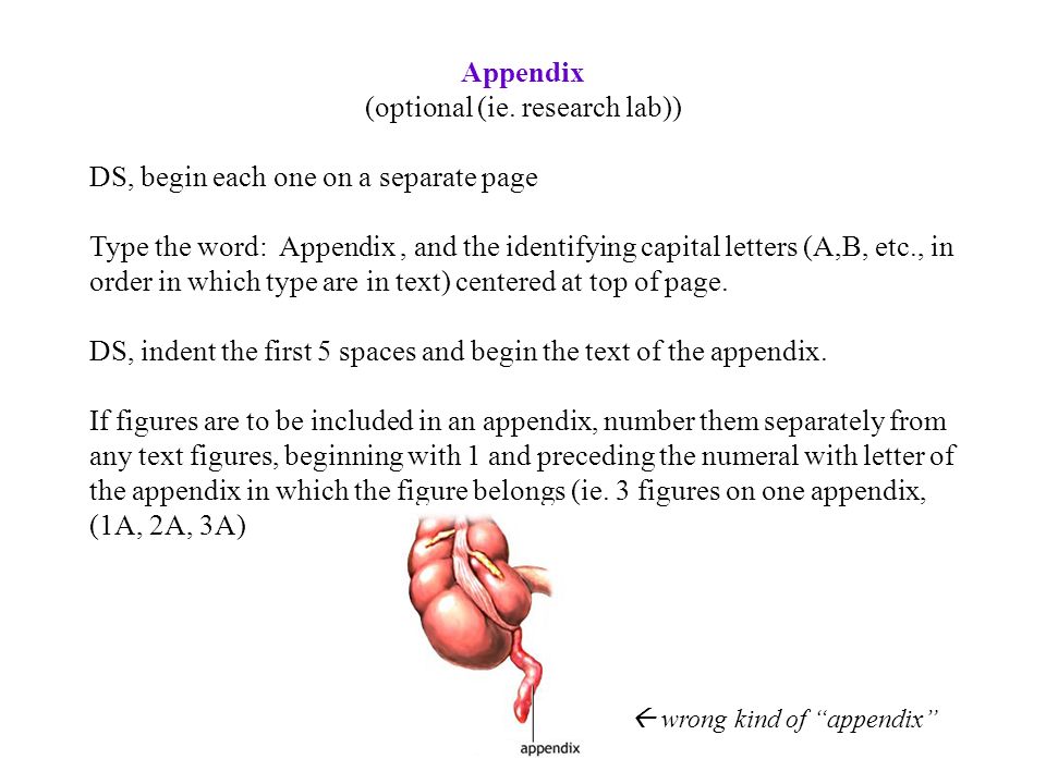 Review the five images in appendix